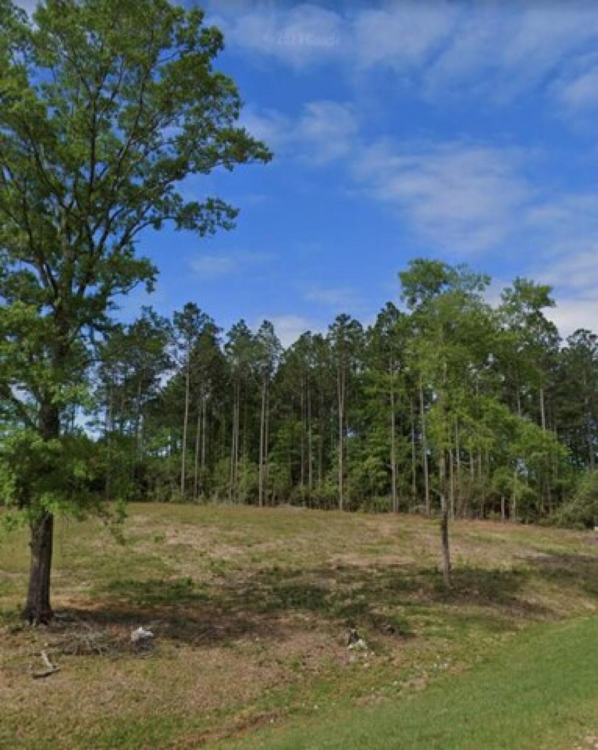 Picture of Residential Land For Sale in Carriere, Mississippi, United States