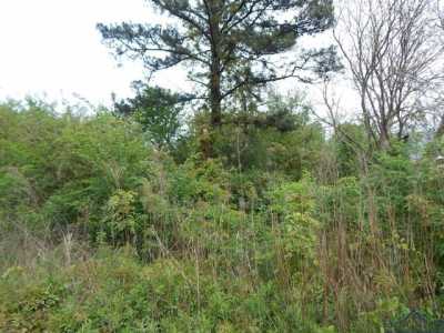 Residential Land For Sale in Ore City, Texas