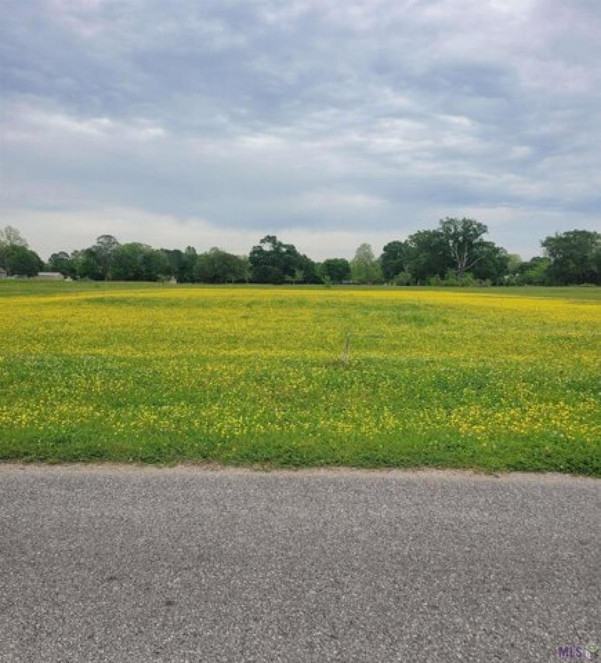 Picture of Residential Land For Sale in Port Allen, Louisiana, United States