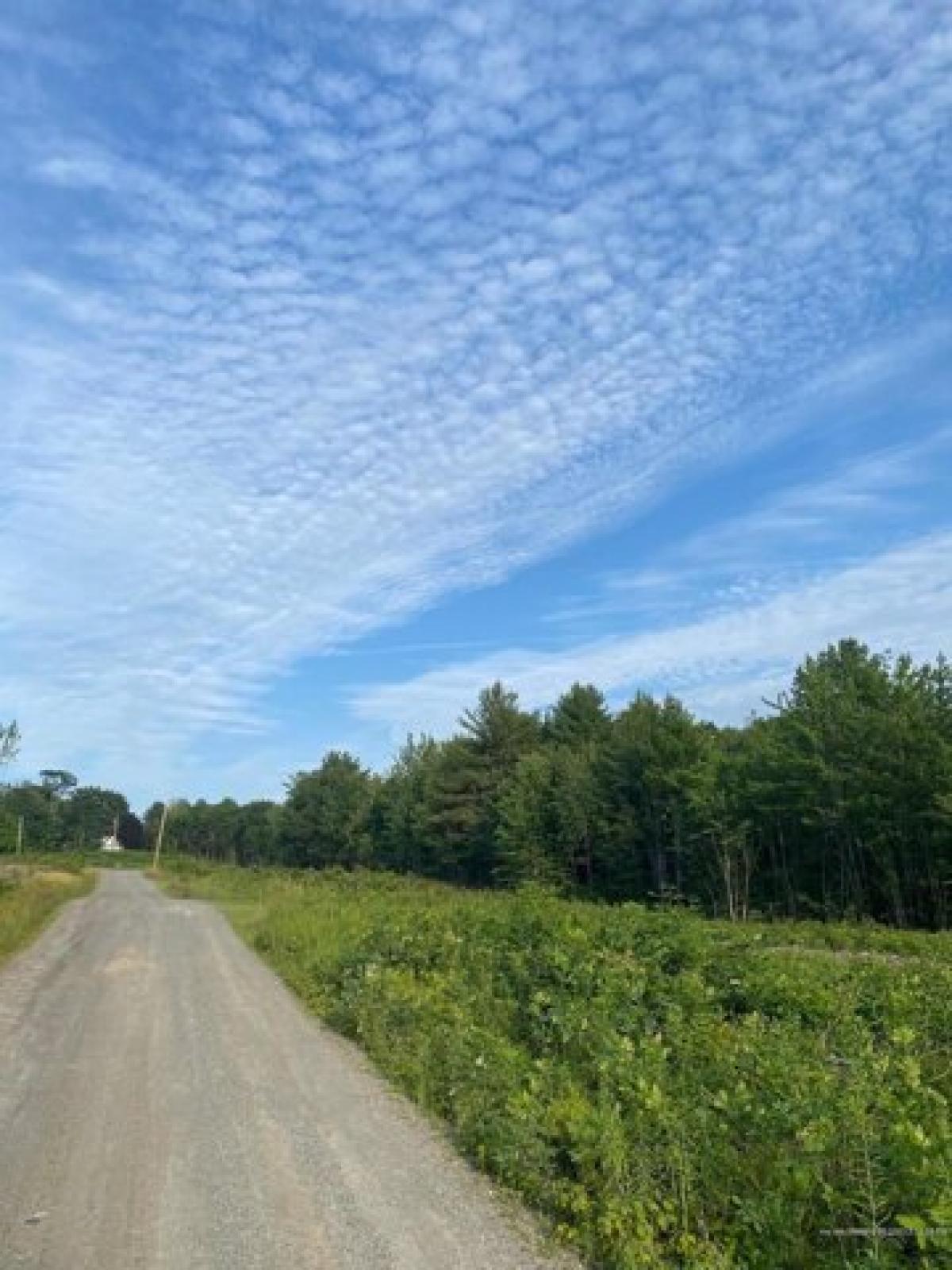 Picture of Residential Land For Sale in Smithfield, Maine, United States