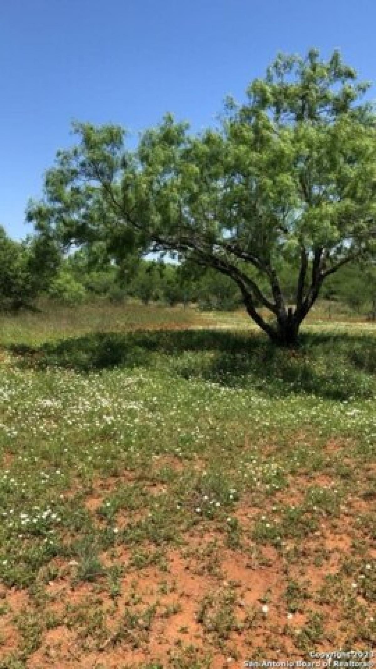 Picture of Residential Land For Sale in Pearsall, Texas, United States