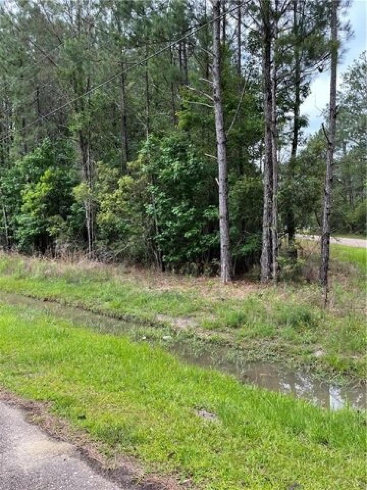 Picture of Residential Land For Sale in Lacombe, Louisiana, United States