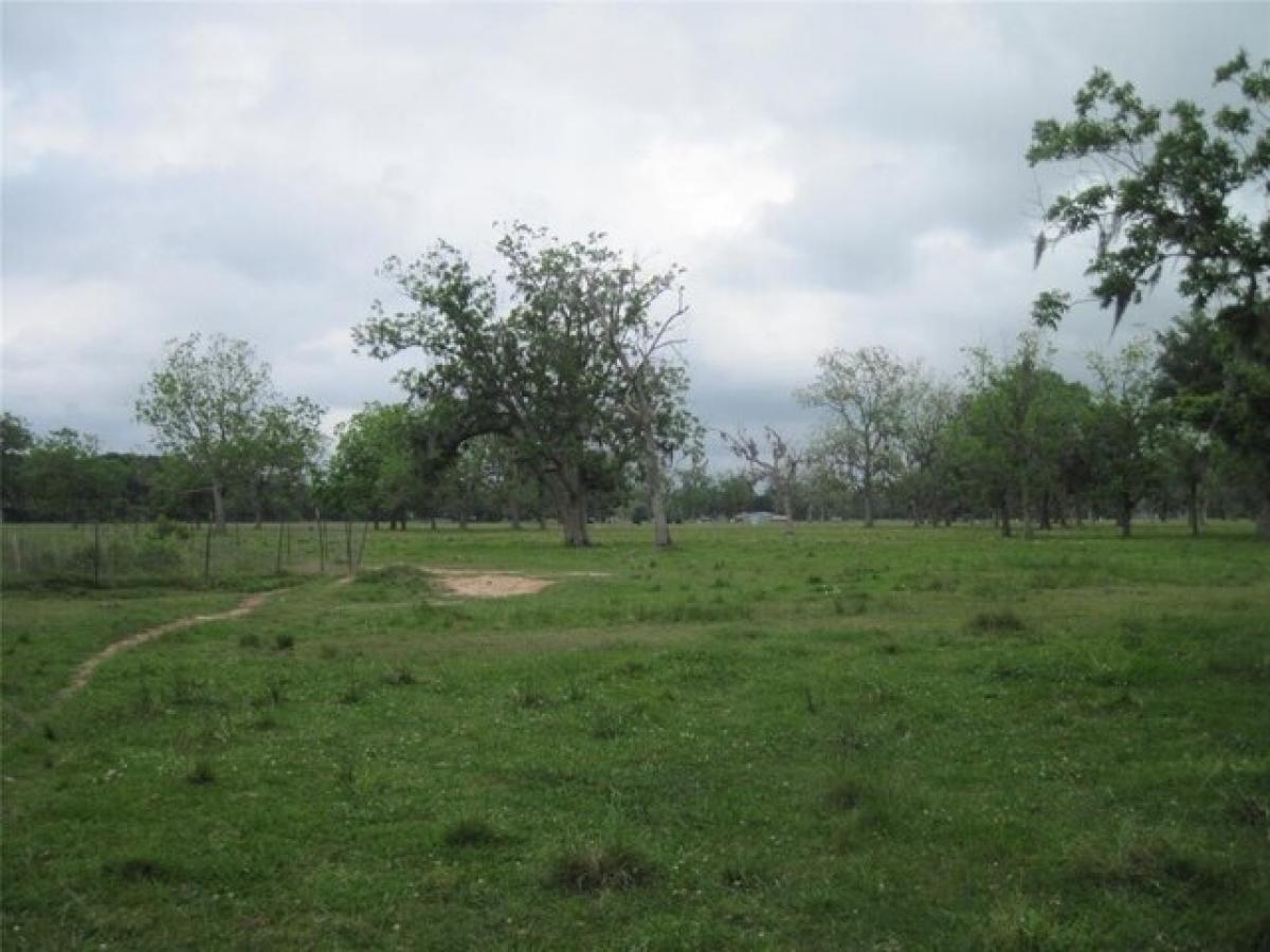 Picture of Residential Land For Sale in West Columbia, Texas, United States