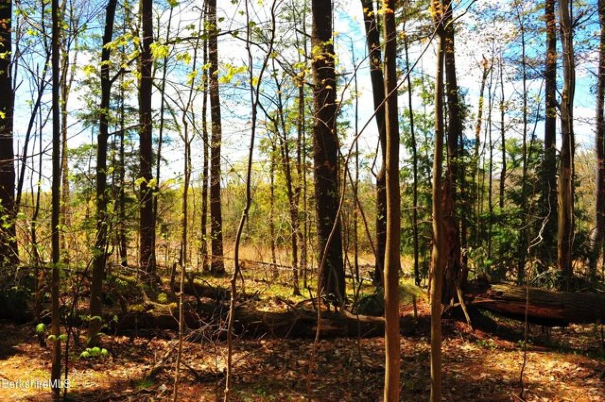 Picture of Residential Land For Sale in Becket, Massachusetts, United States