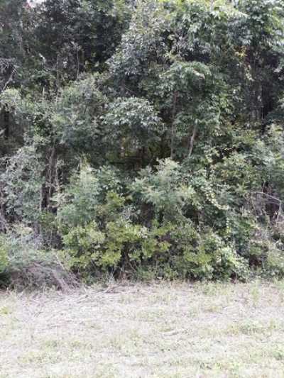 Residential Land For Sale in Old Town, Florida