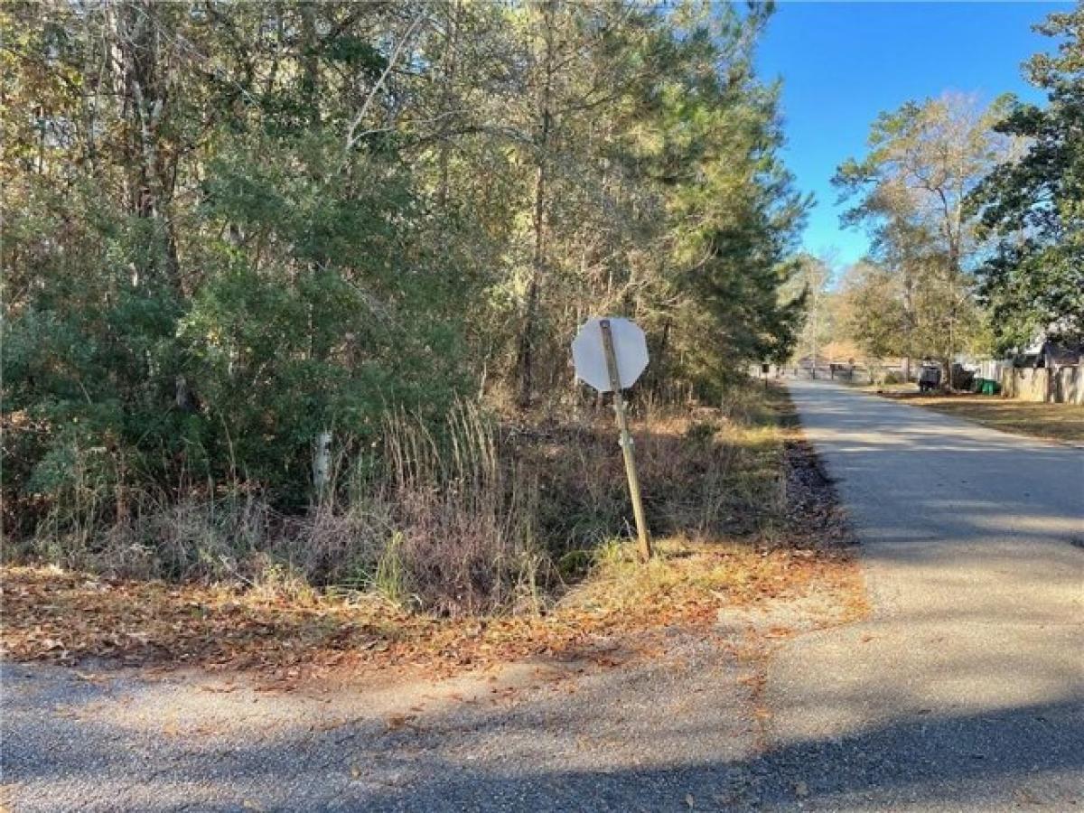 Picture of Residential Land For Sale in Abita Springs, Louisiana, United States