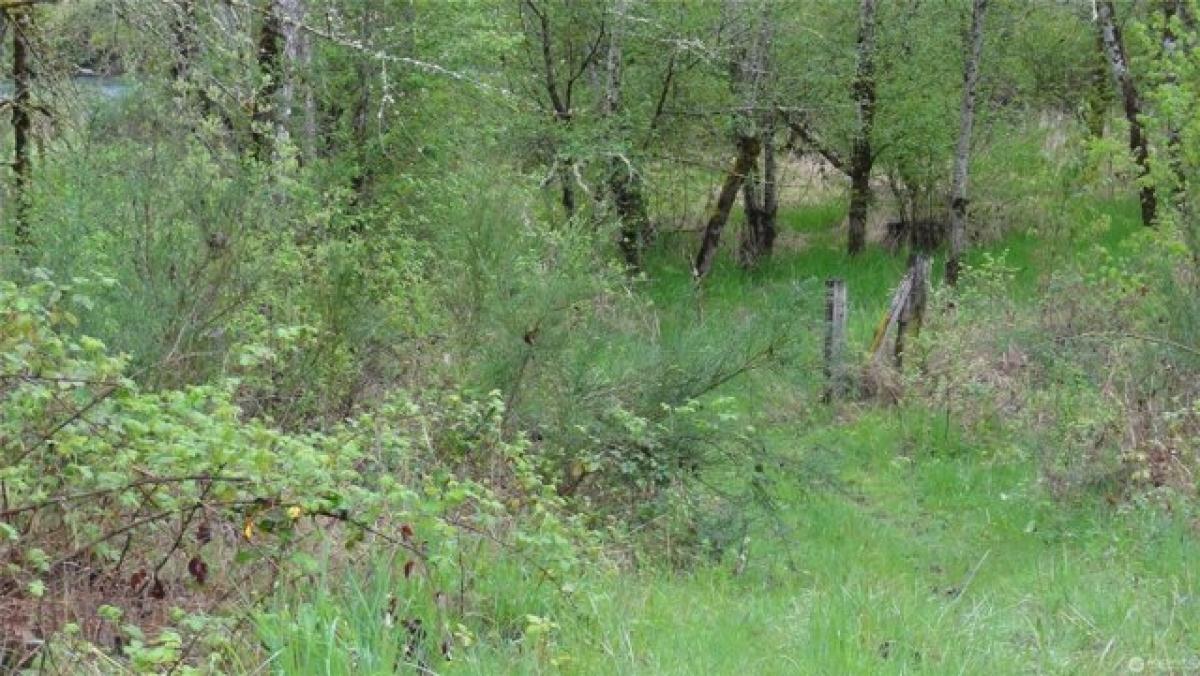 Picture of Residential Land For Sale in Toledo, Washington, United States