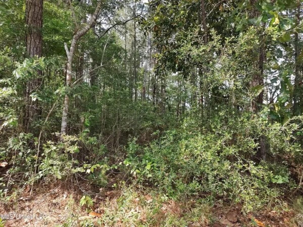 Picture of Residential Land For Sale in Poplarville, Mississippi, United States