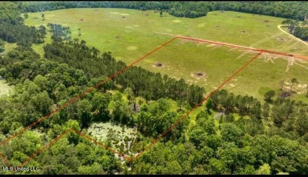 Picture of Residential Land For Sale in Carriere, Mississippi, United States