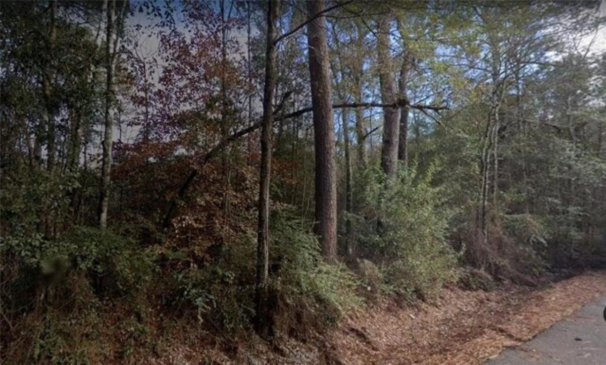 Picture of Residential Land For Sale in Covington, Louisiana, United States