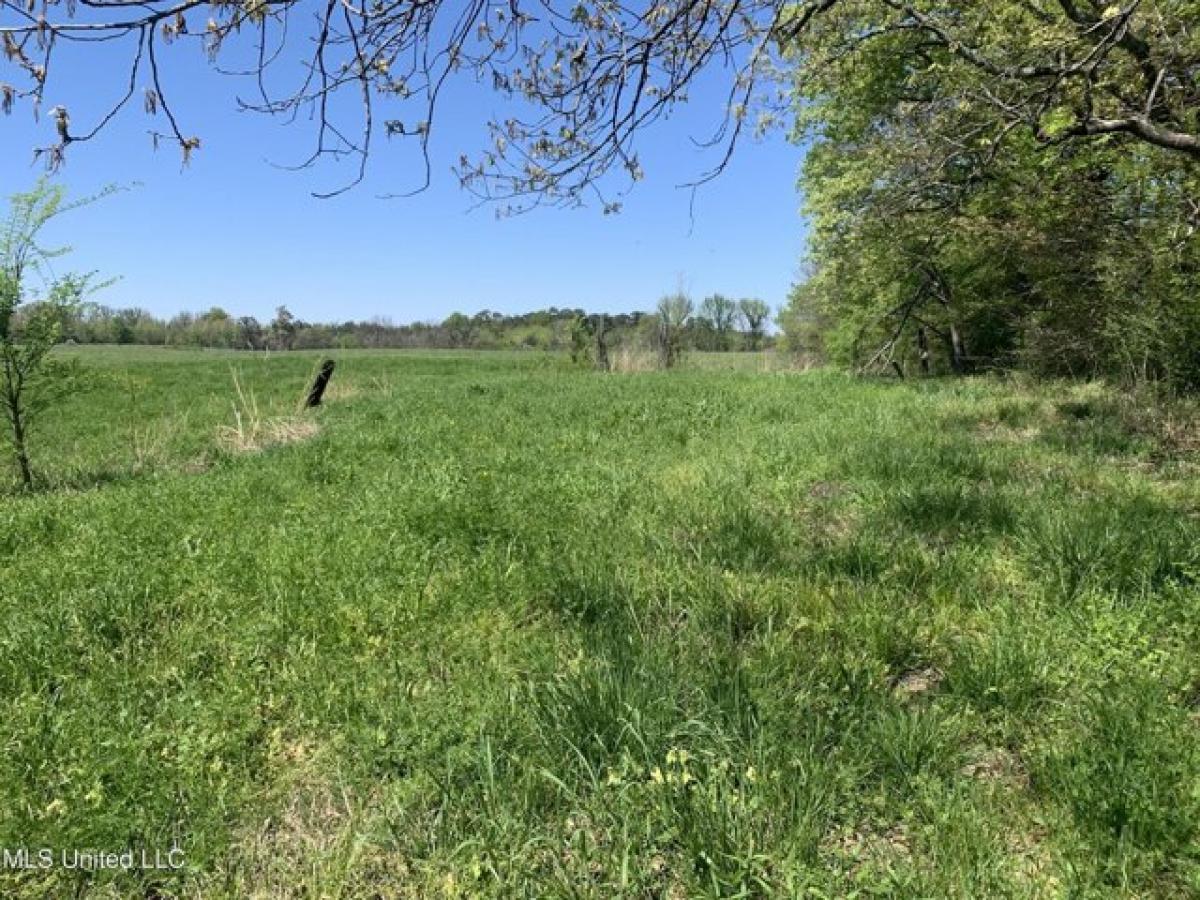 Picture of Residential Land For Sale in Hernando, Mississippi, United States