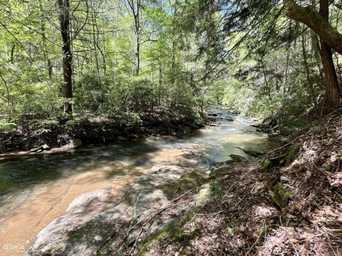 Picture of Residential Land For Sale in Talking Rock, Georgia, United States