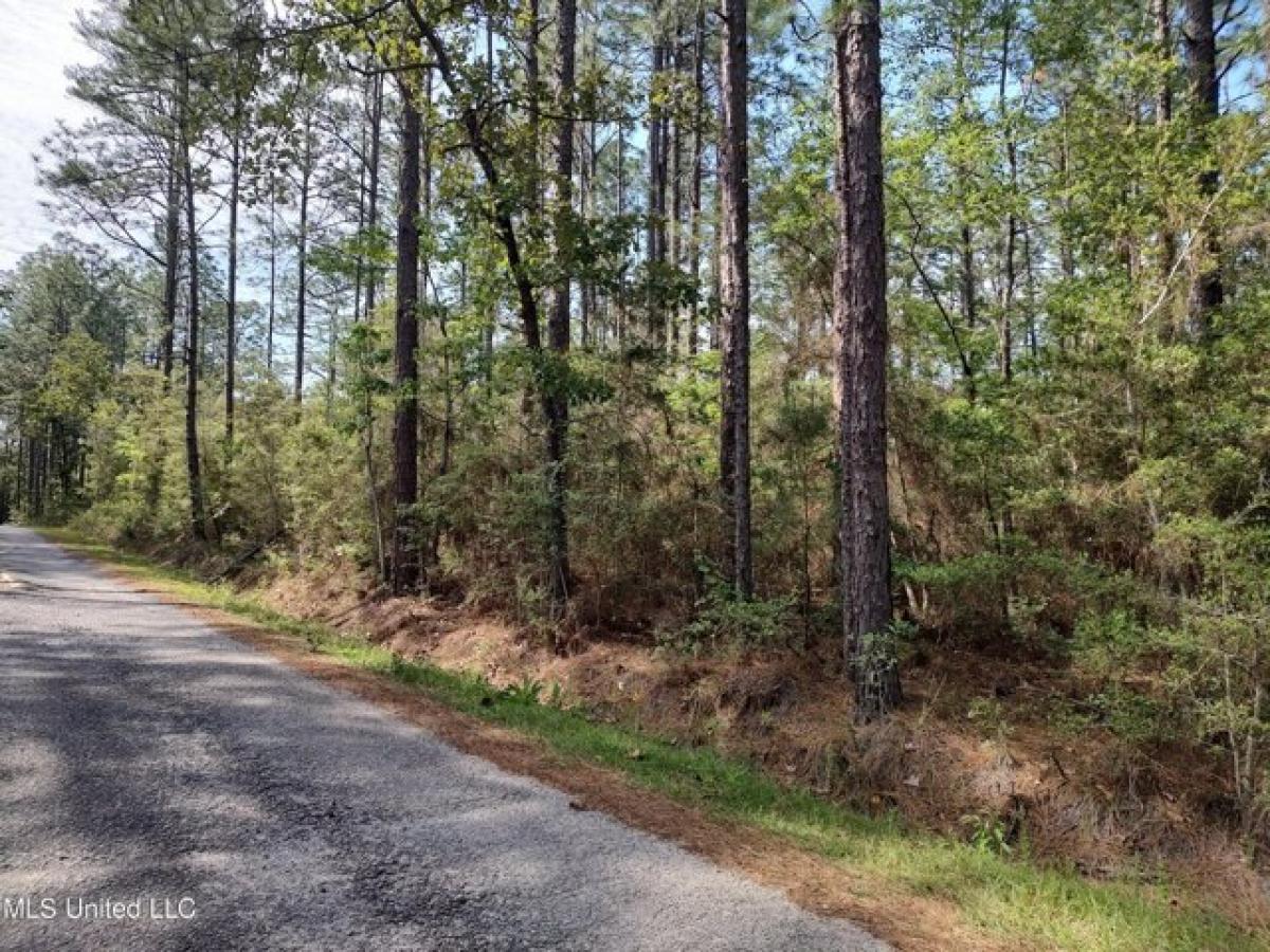 Picture of Residential Land For Sale in Poplarville, Mississippi, United States