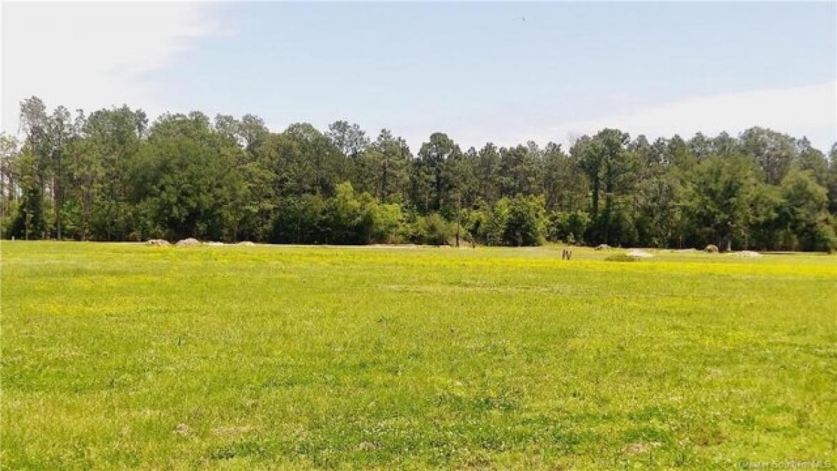 Picture of Residential Land For Sale in Dequincy, Louisiana, United States