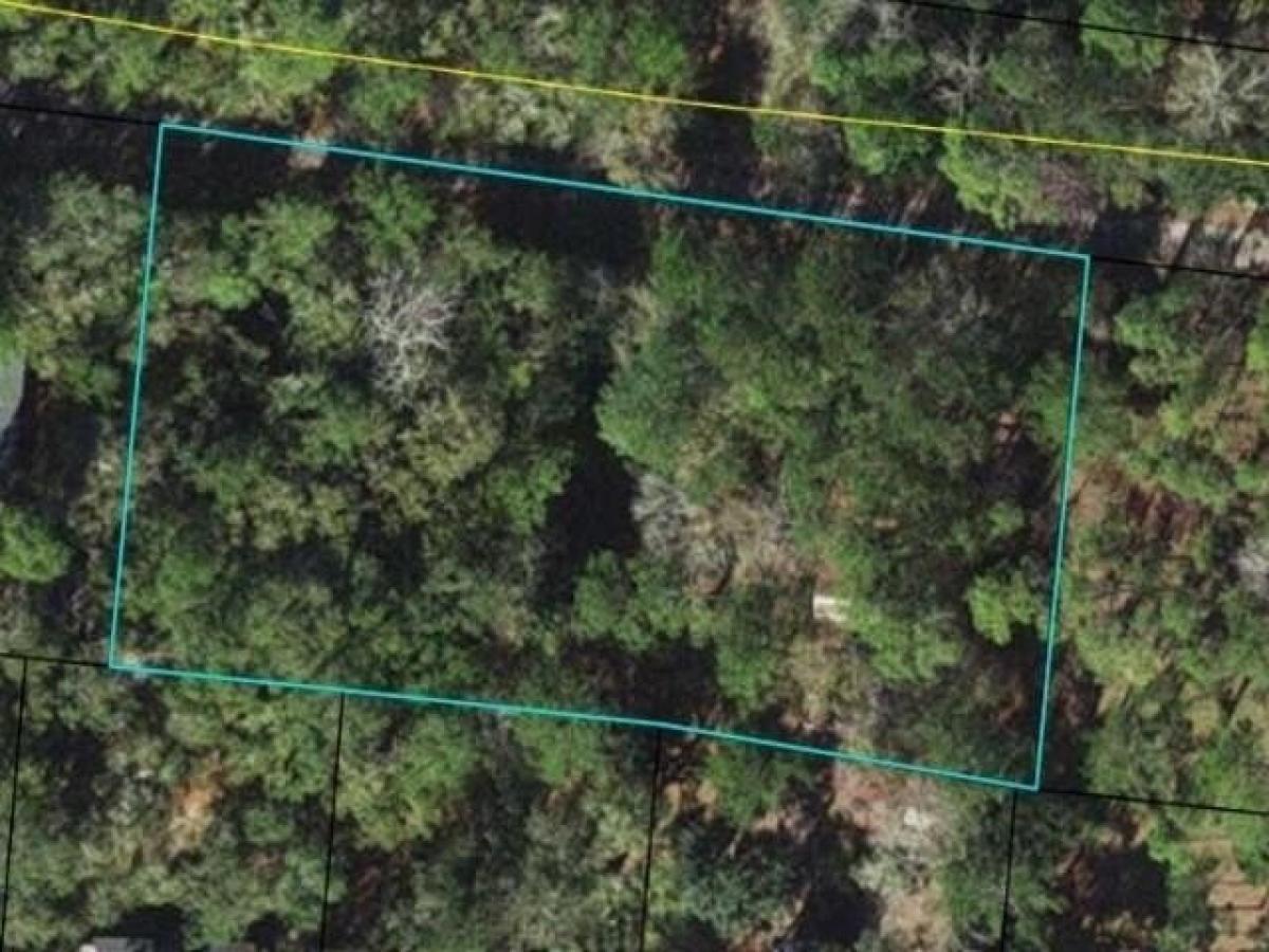 Picture of Residential Land For Sale in Sopchoppy, Florida, United States