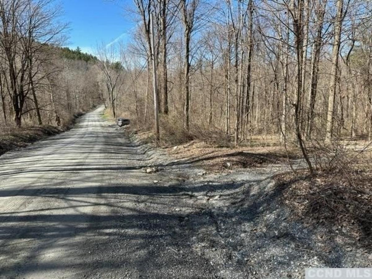 Picture of Residential Land For Sale in West Stockbridge, Massachusetts, United States