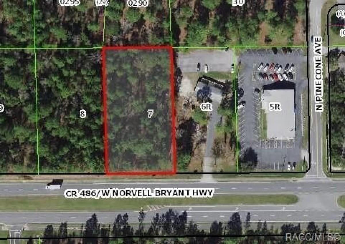 Picture of Residential Land For Sale in Lecanto, Florida, United States