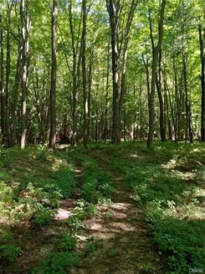 Residential Land For Sale in Sandy Creek, New York