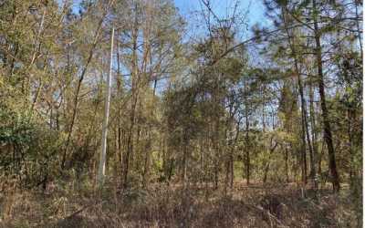 Residential Land For Sale in Live Oak, Florida