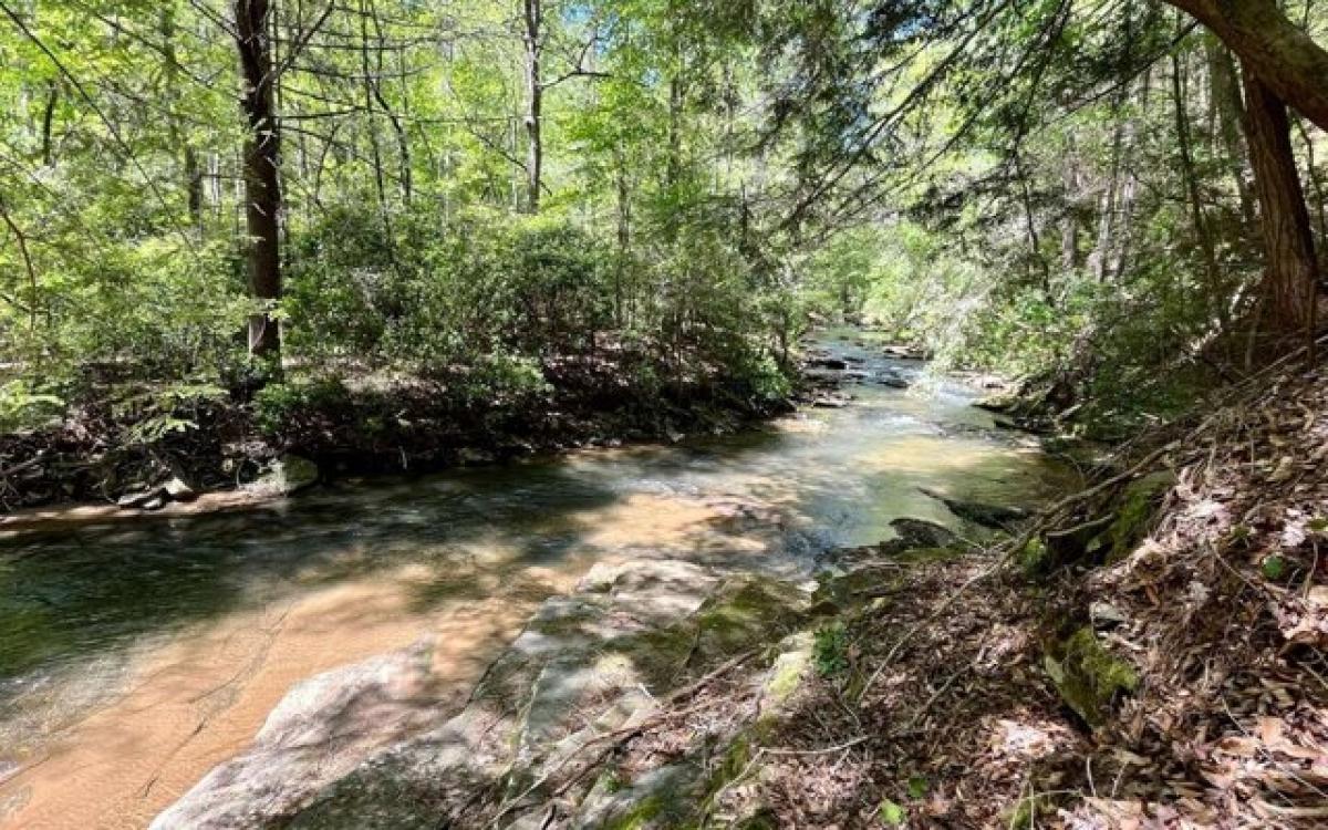 Picture of Residential Land For Sale in Talking Rock, Georgia, United States