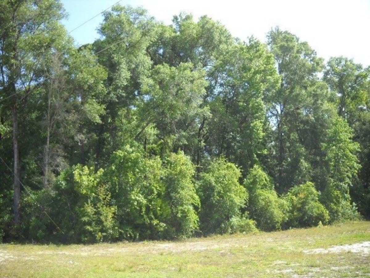 Picture of Residential Land For Sale in Old Town, Florida, United States