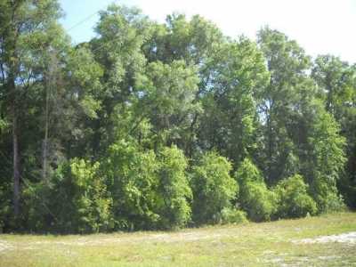 Residential Land For Sale in Old Town, Florida