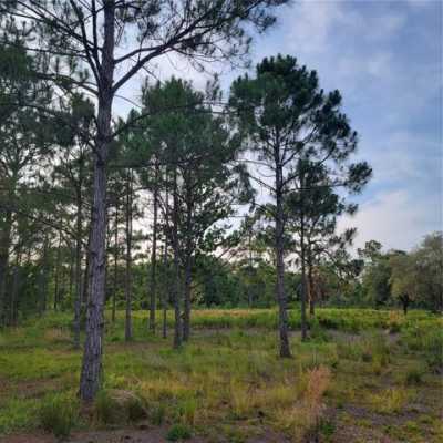 Residential Land For Sale in Frostproof, Florida