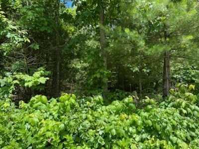 Residential Land For Sale in 