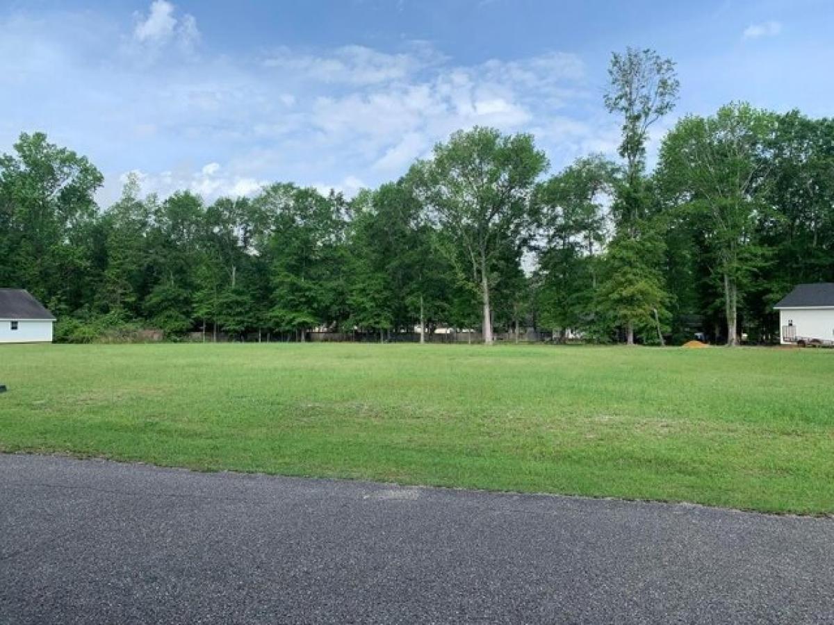 Picture of Residential Land For Sale in Ashford, Alabama, United States