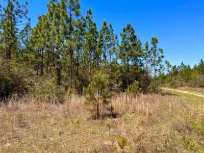 Residential Land For Sale in Pace, Florida