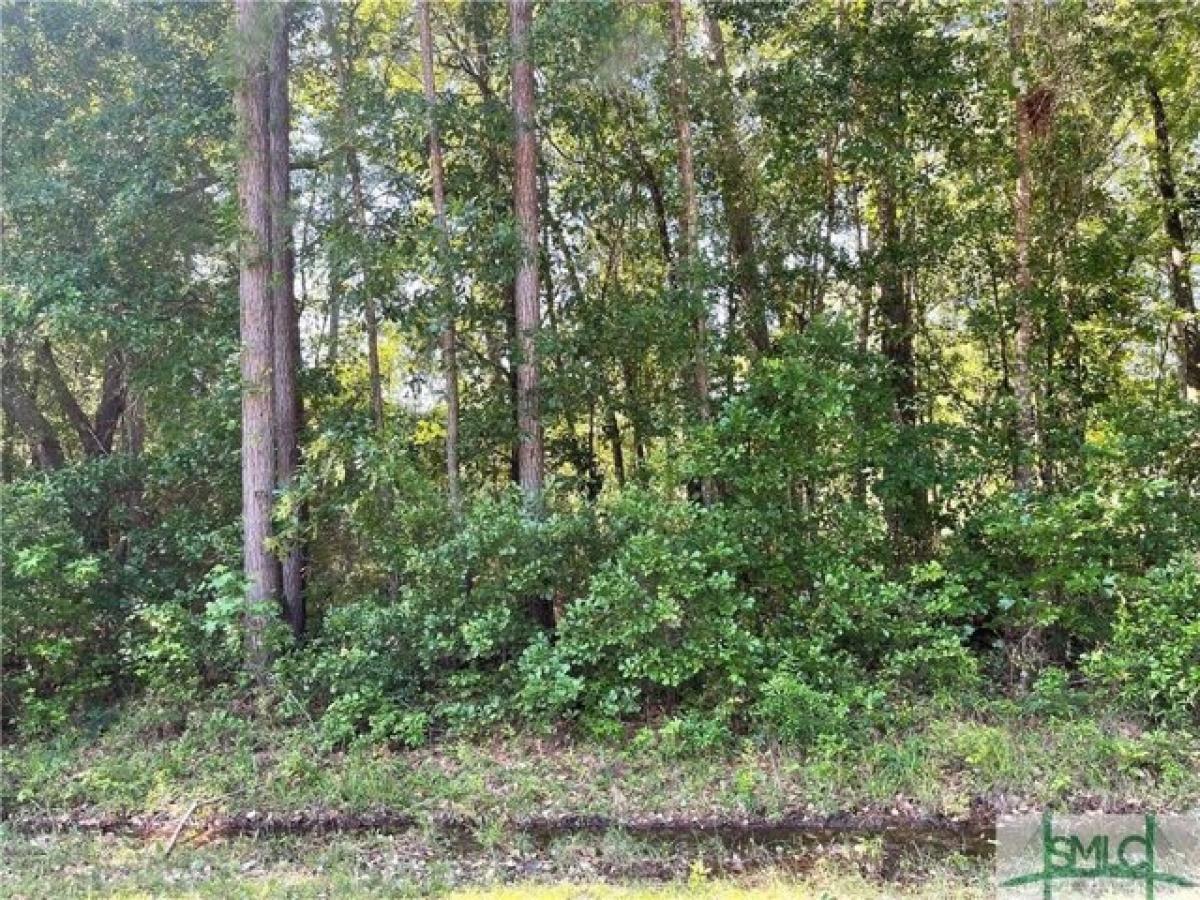 Picture of Residential Land For Sale in Midway, Georgia, United States