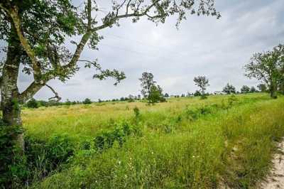 Residential Land For Sale in 