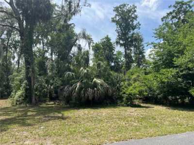 Residential Land For Sale in Lake Panasoffkee, Florida