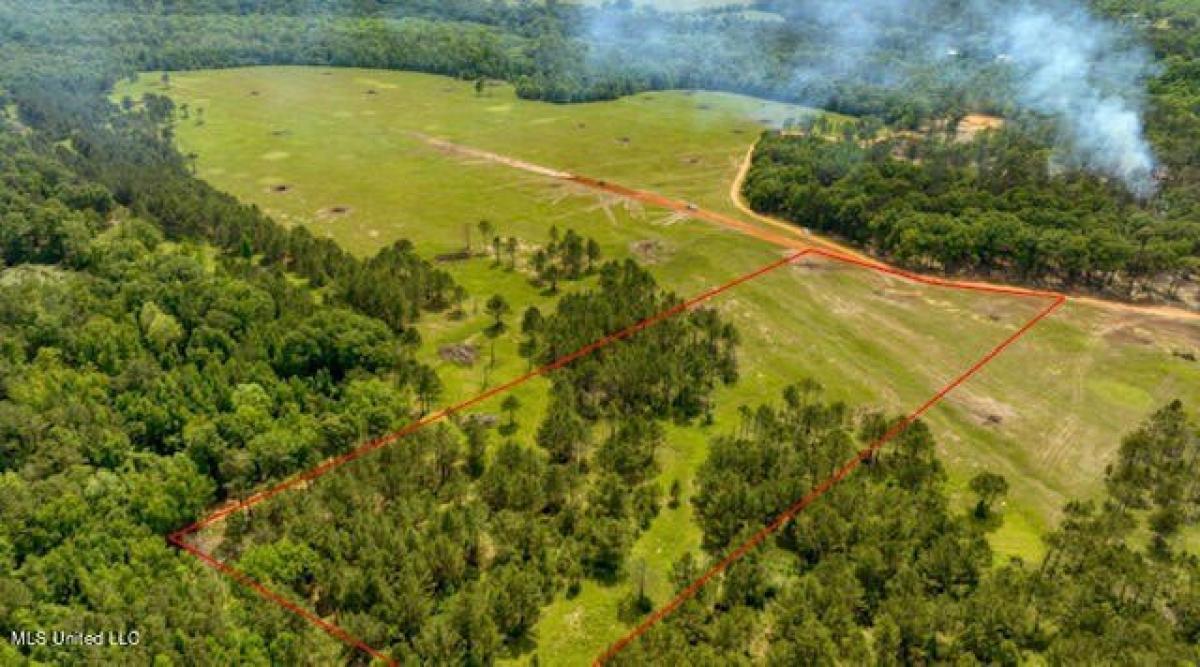 Picture of Residential Land For Sale in Carriere, Mississippi, United States