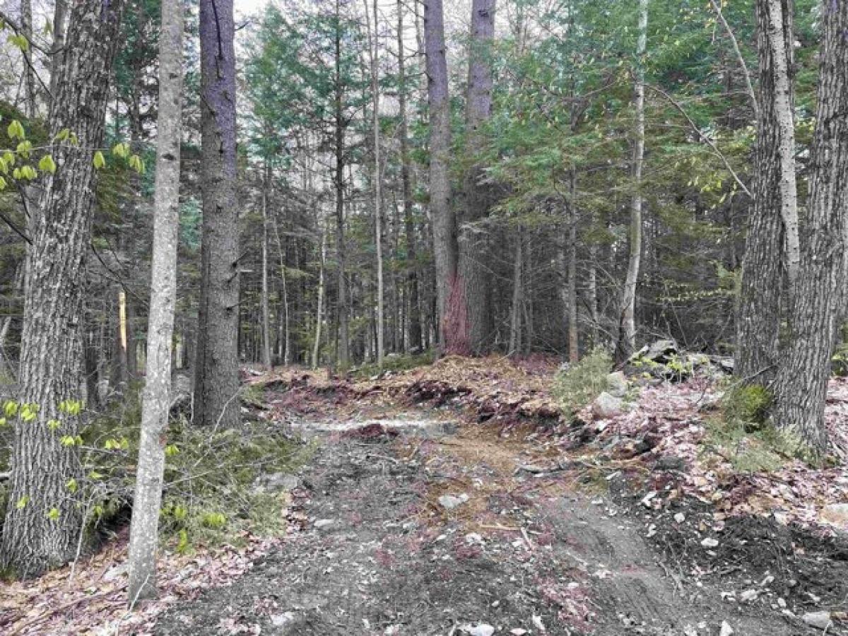 Picture of Residential Land For Sale in Springfield, Vermont, United States