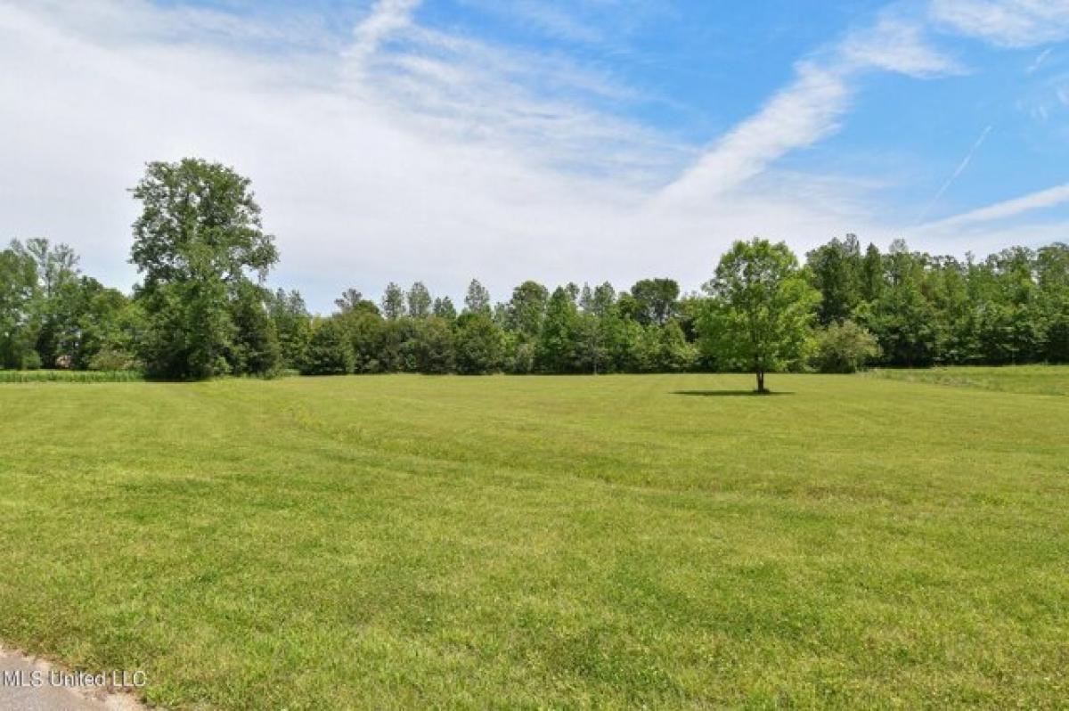 Picture of Residential Land For Sale in Nesbit, Mississippi, United States