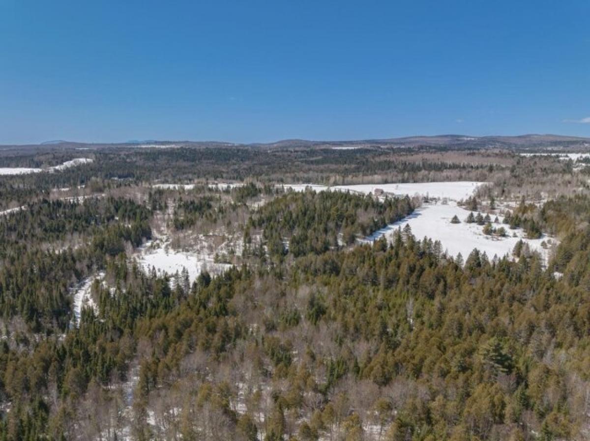 Picture of Residential Land For Sale in Greensboro, Vermont, United States