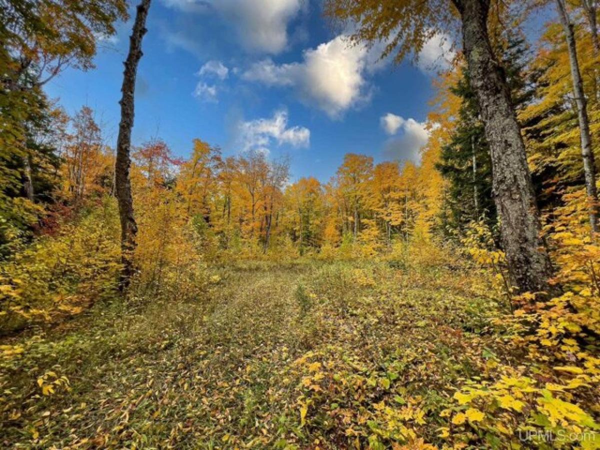 Picture of Residential Land For Sale in Bessemer, Michigan, United States