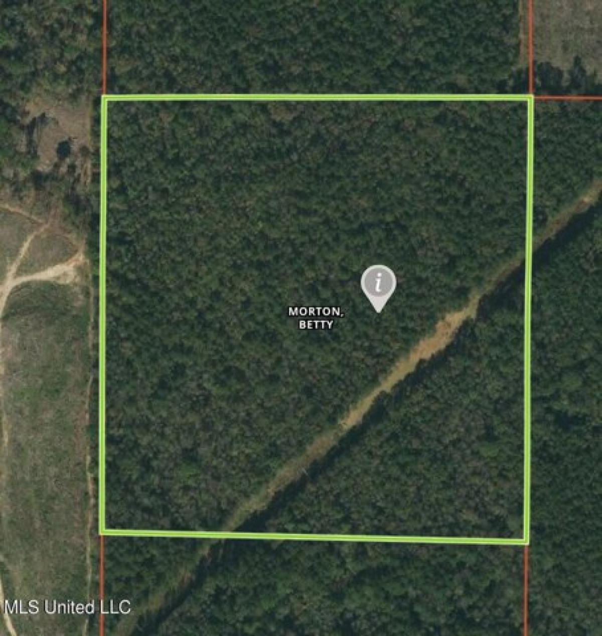 Picture of Residential Land For Sale in Pulaski, Mississippi, United States