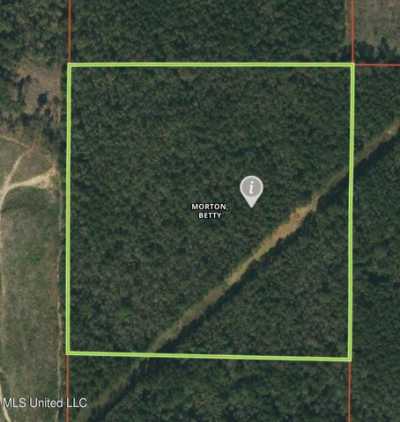 Residential Land For Sale in Pulaski, Mississippi