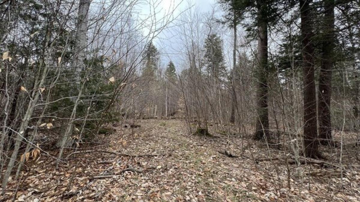 Picture of Residential Land For Sale in Middlefield, Massachusetts, United States