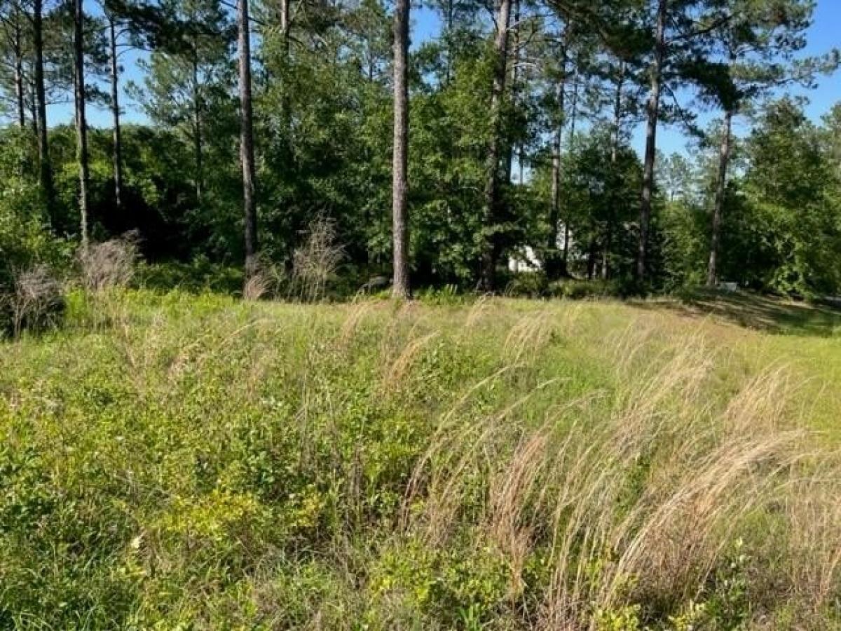 Picture of Residential Land For Sale in Moultrie, Georgia, United States