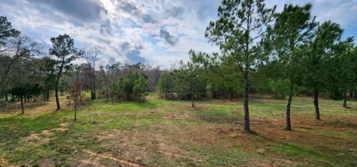 Picture of Residential Land For Sale in Bastrop, Texas, United States