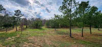 Residential Land For Sale in Bastrop, Texas