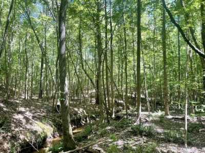 Residential Land For Sale in Ackerman, Mississippi