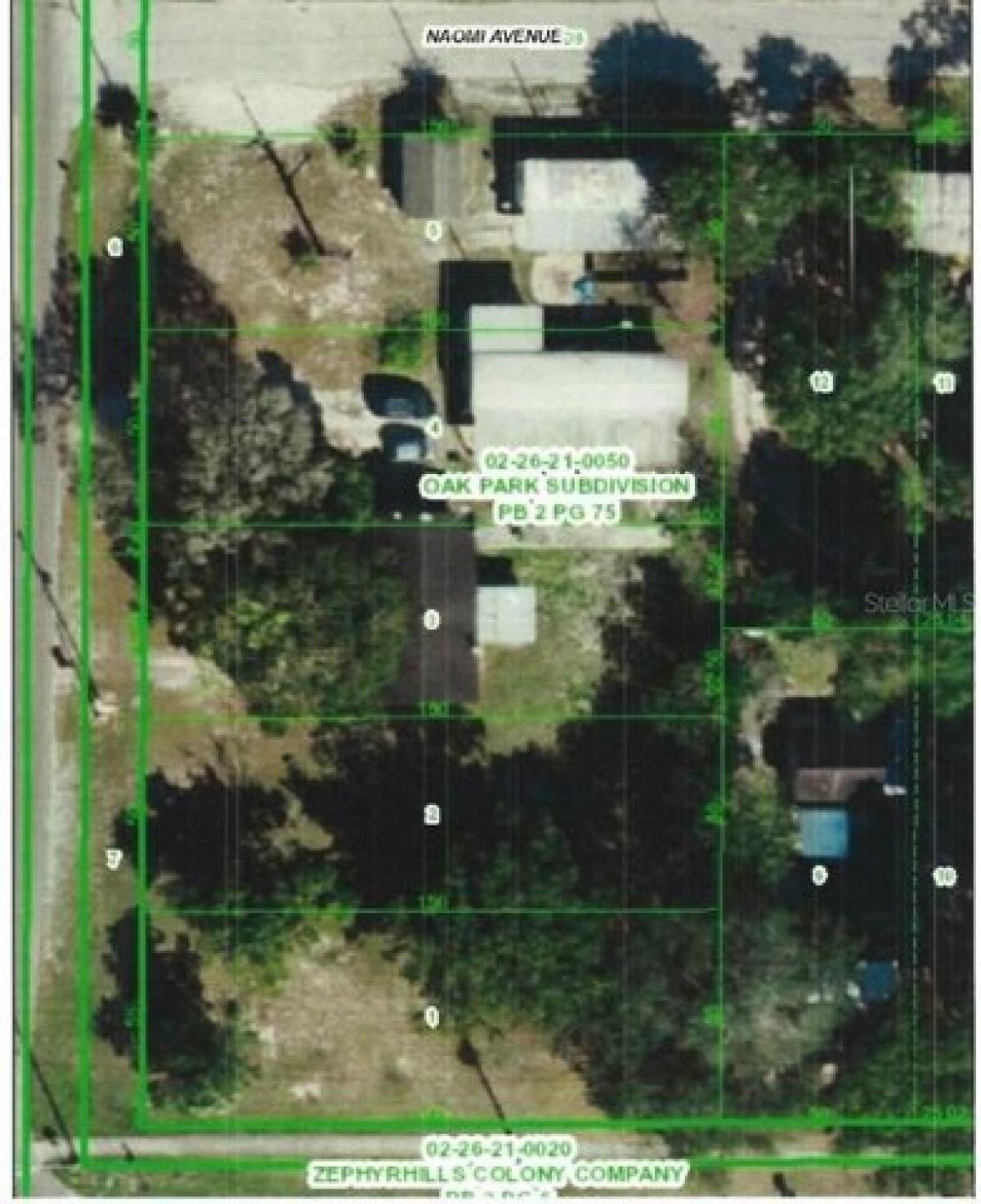 Picture of Residential Land For Sale in Zephyrhills, Florida, United States