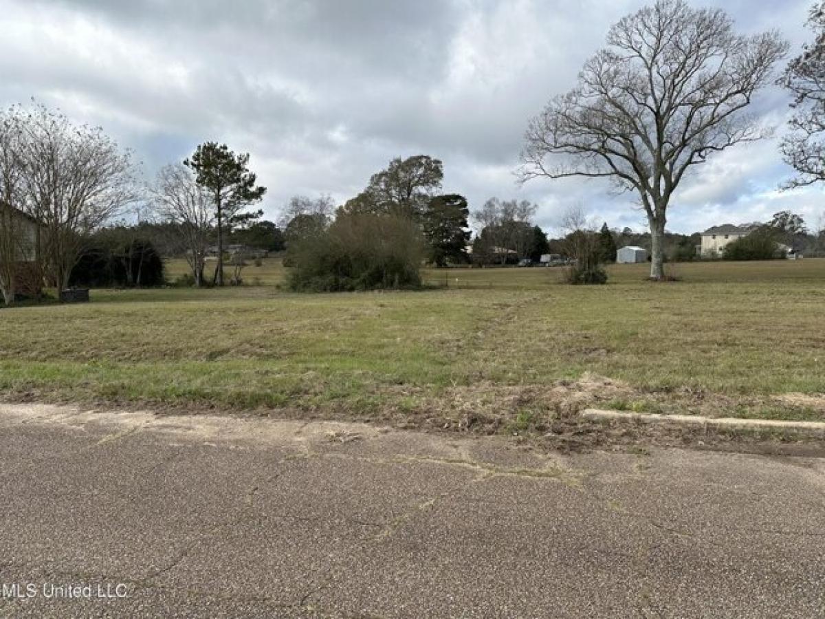 Picture of Residential Land For Sale in Lumberton, Mississippi, United States