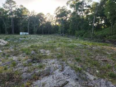 Residential Land For Sale in Old Town, Florida