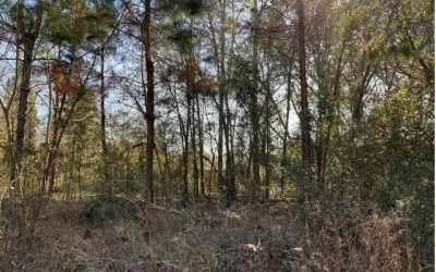 Residential Land For Sale in Live Oak, Florida