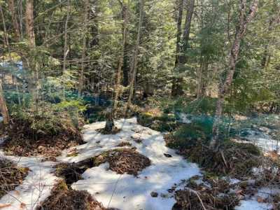 Residential Land For Sale in Bucksport, Maine